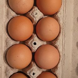 Dozen of Large Brown Eggs