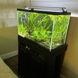 29 Gallon Fish Tank With Stand Everything Included