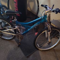 Mongoose Mountain Bike 