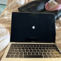 2019 MacBook Pro 13in