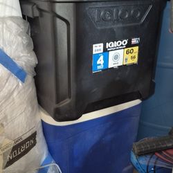 Igloo Coolers 