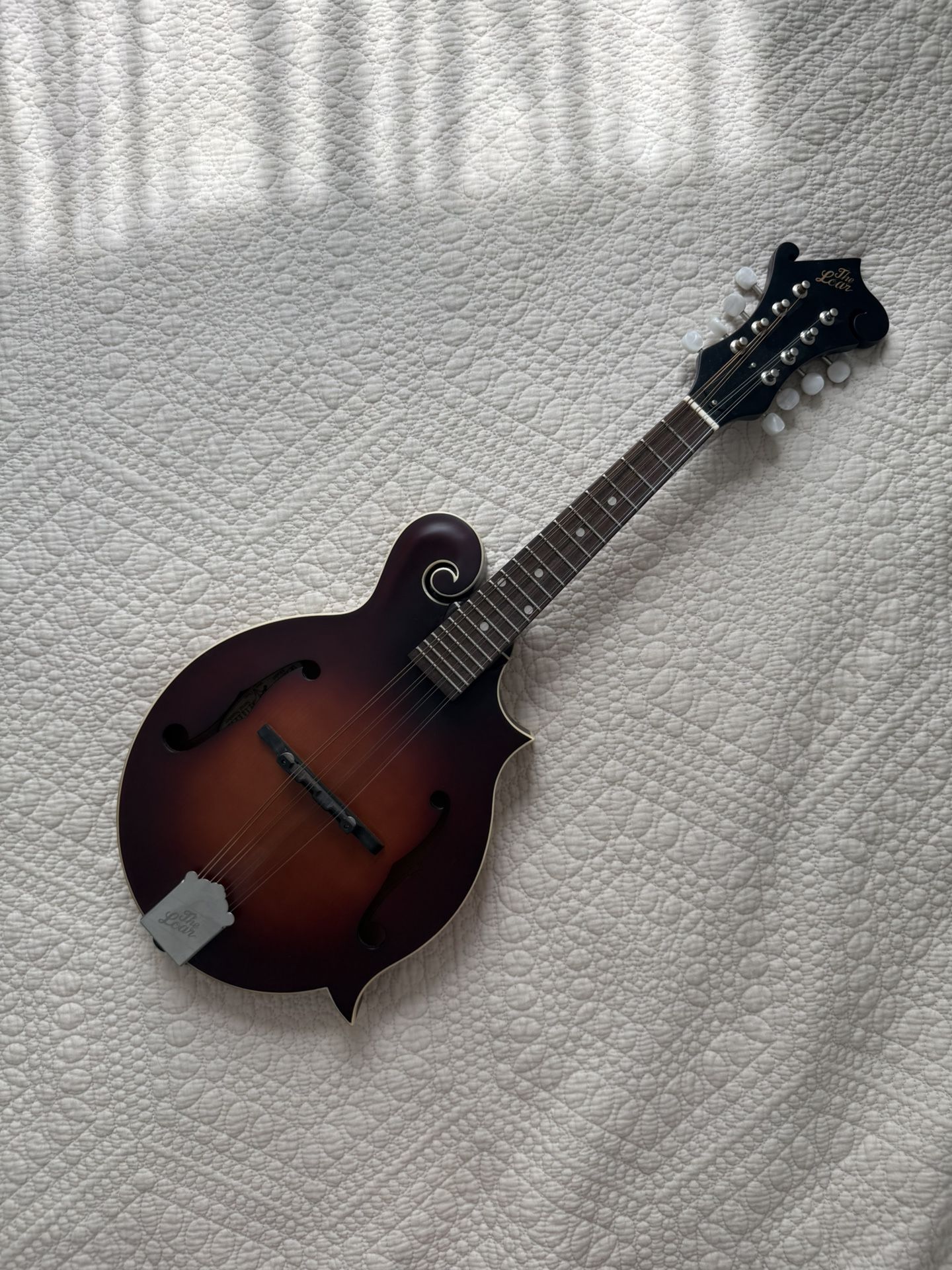 Loar F Style Mandolin