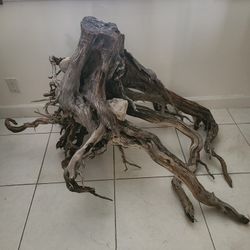 Drift Wood Base 