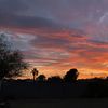 South Phoenix Sales
