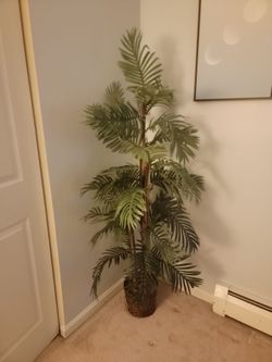 2 artificial trees for indoor