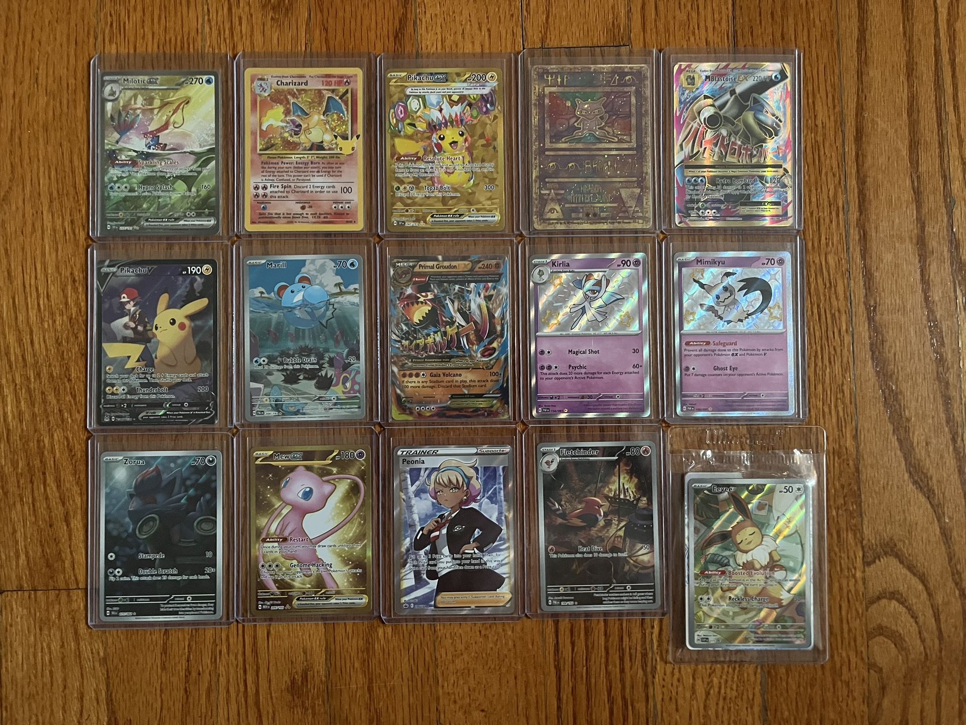 Fs/Ft Pokemon Singles