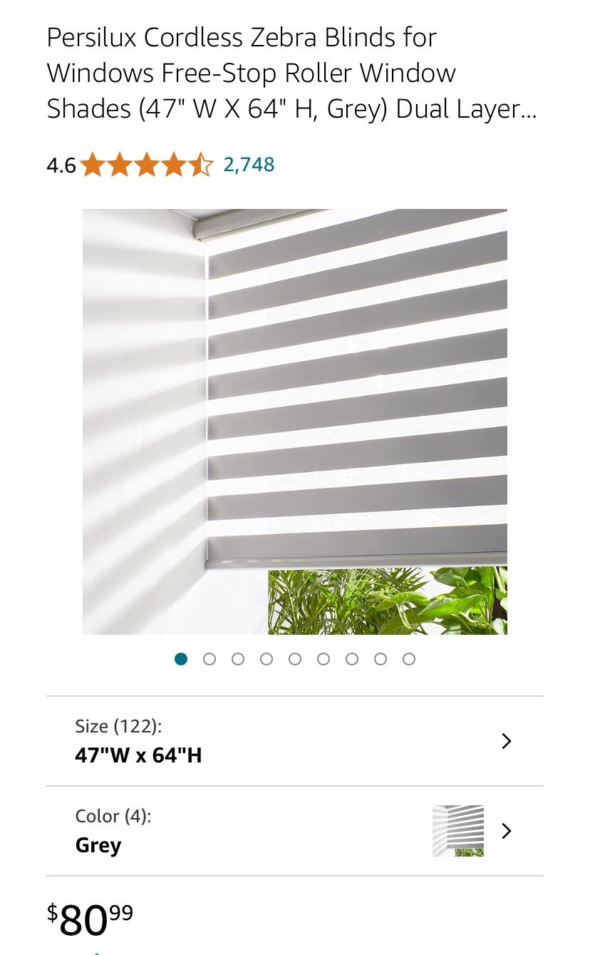 Persilux Zebra Blinds