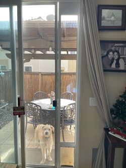 Dog Door
