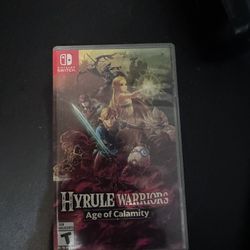 Hyrule Warrior