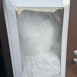 Preserved Wedding Dress 