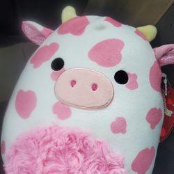 8" Evangelica The Cow