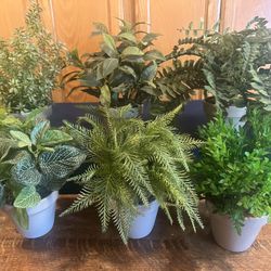 Beautiful Faux Plants in Ceramic Pot…$20 Each or ALL for $110