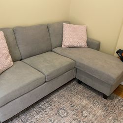 Light Grey Couch! 