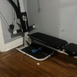 Gym Equipment 