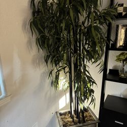 Fake Plant