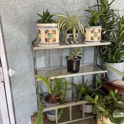 Small Metal Shelf / Plant Shelf