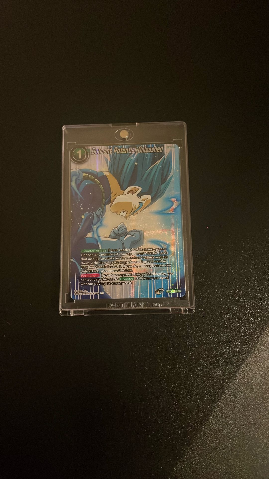 Vegita Card