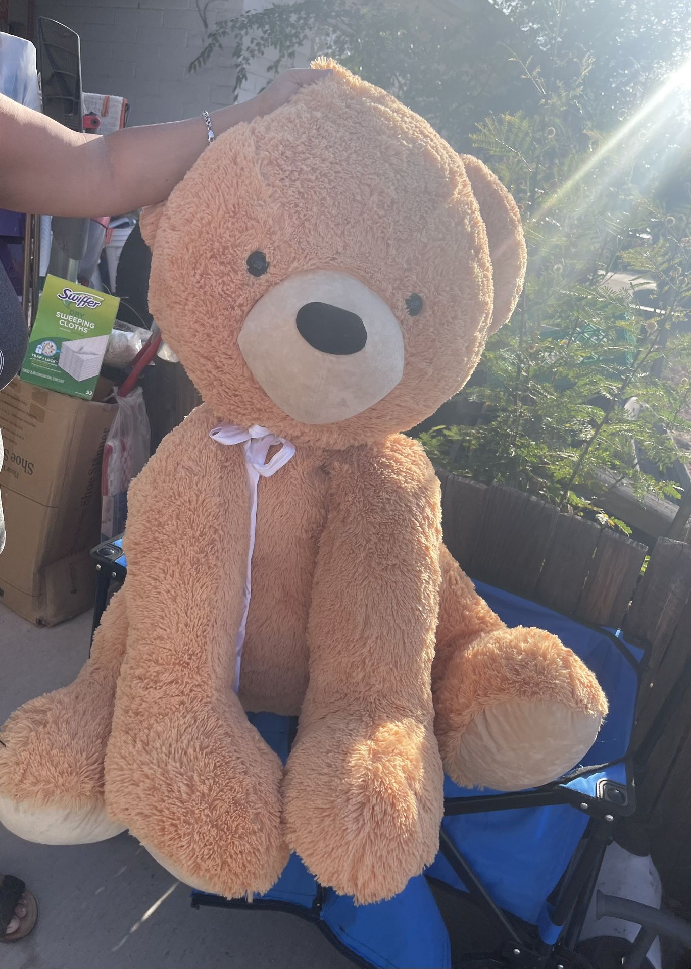 Big Sitting Teddy Bear
