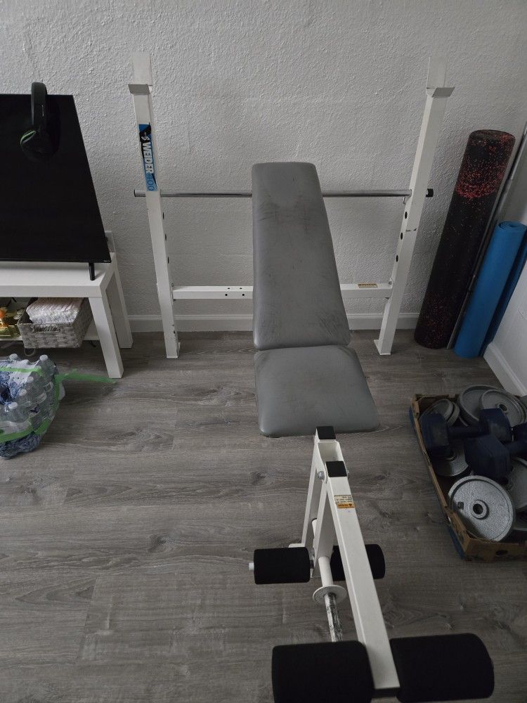 Bench Press
