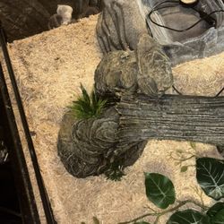 Reptile Tank 