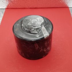 Orthoceras Announit Container With A Lid 