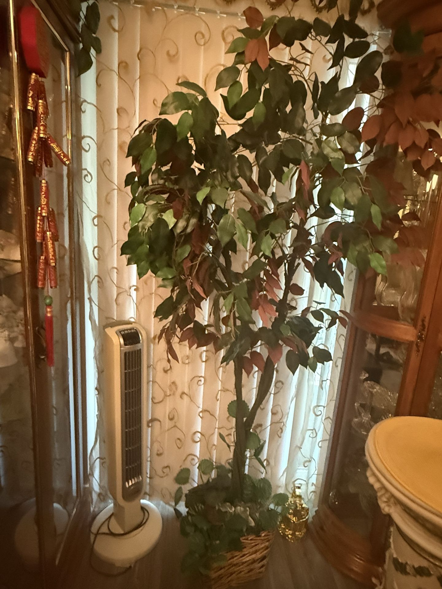 Tall Plant
