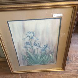 2 different pictures