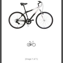 Reaction Northway 21-Speed Comfort Bike