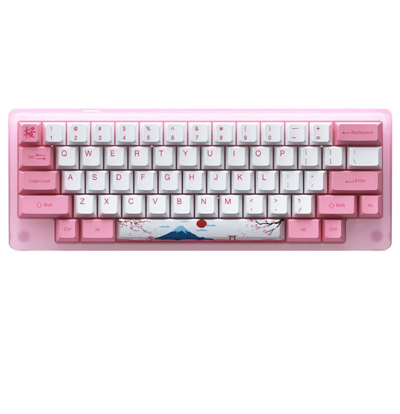 Rare Akko ACR59 World Tour Tokyo Mechanical Keyboard 