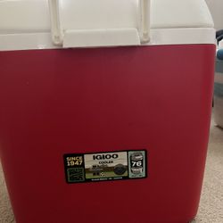 Igloo Cooler