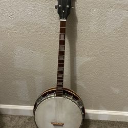 4 string banjo