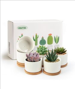 6x Succulent Planter