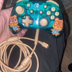 Nintendo Switch controller