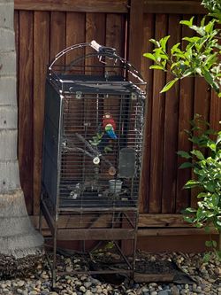 FREE Iron Bird Cage OBO