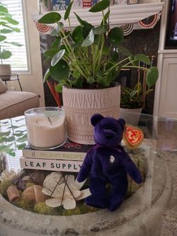 Princess Diana beanie baby