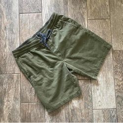 Pacsun men’s shorts  Size Medium  32