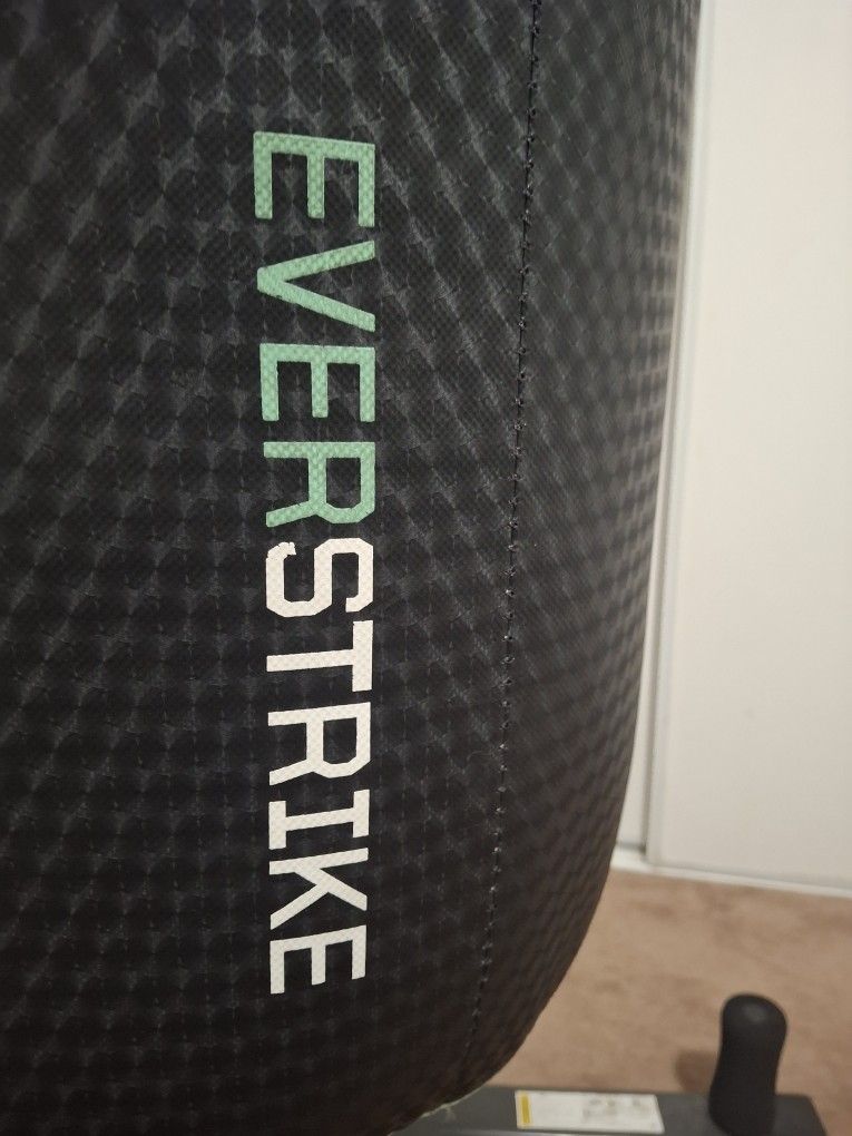 Punching bag Everlast