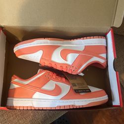 W Nike Dunk Low Next Nature