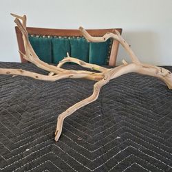 Driftwood (x1)