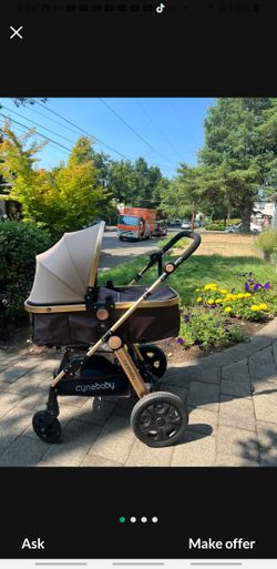 Detachable Bassinet With Stroller