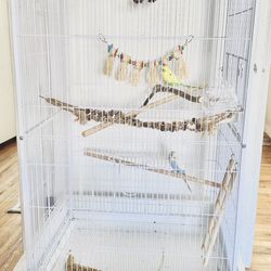 Bird Cage