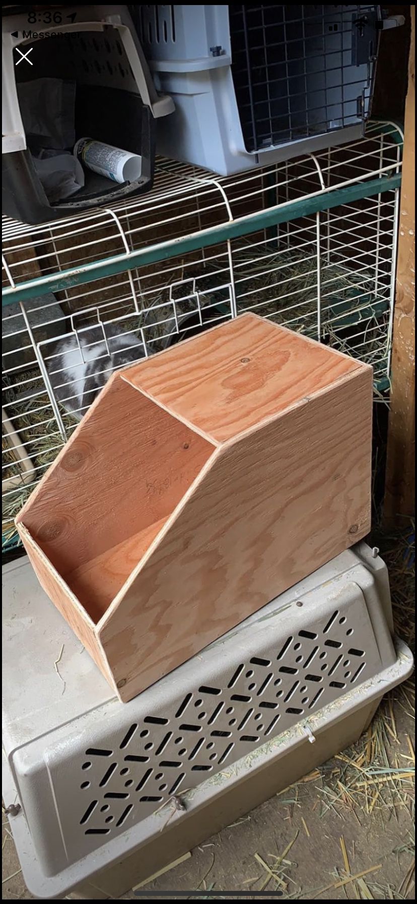 Bunny nesting boxes