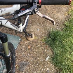 29 Inch Specialized Bike