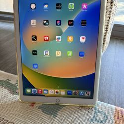Apple iPad  Pro 12.9 Inch 512 GB- 2nd Generation WiFi+ Cellular