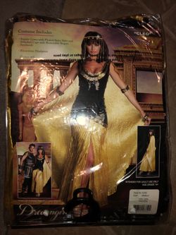 medium size Cleopatra Halloween costume complete with wig