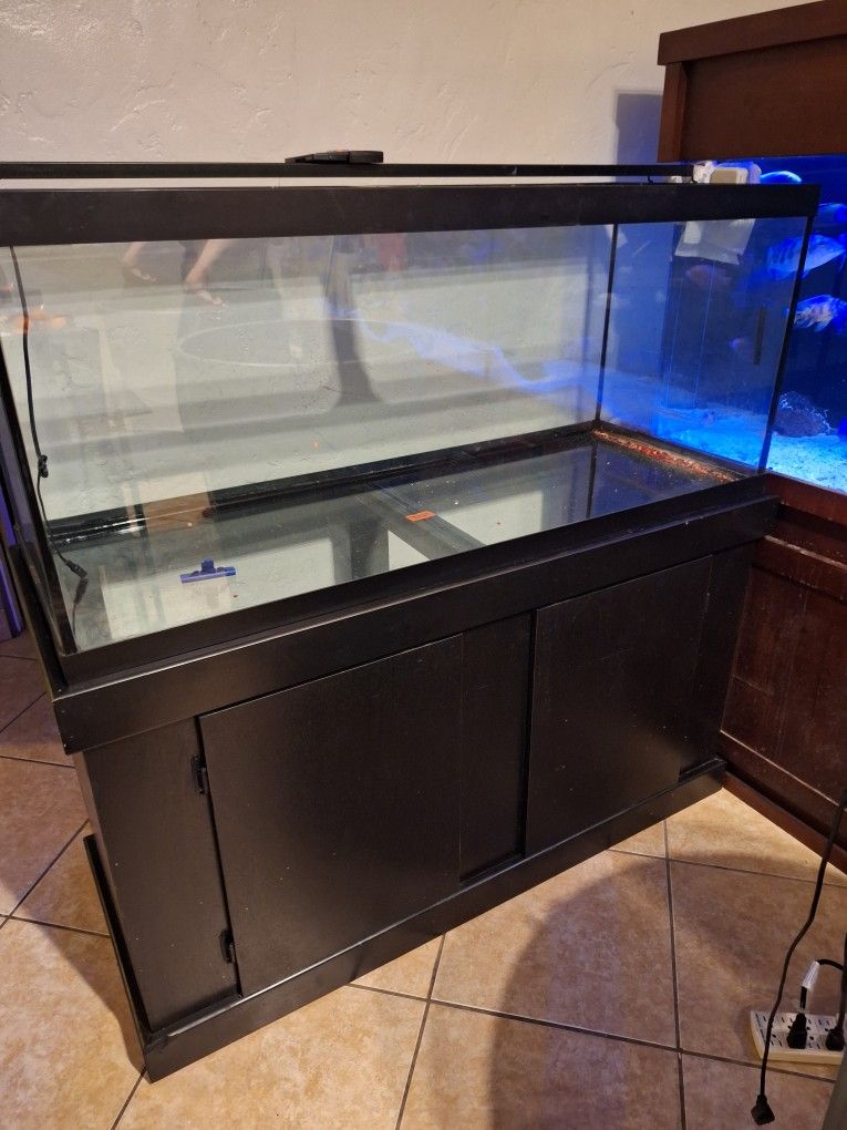 Fish Tank