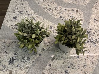 Set of 2 Faux Potted Greenery Plants