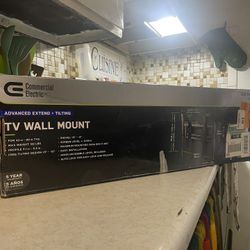 TV MOUNT WALL