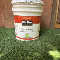 5 Gallon Swiss coffee paint/grout