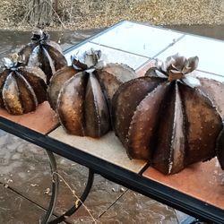 New Metal "Rusty Barrel Cactus"
5 Sizes 5 Prices 

Extra Large 
Approx. 1ft.2" x 1ft. 5"     $70.00

Large 
Approx. 11" x 1ft. 2"         $55.00

Medi